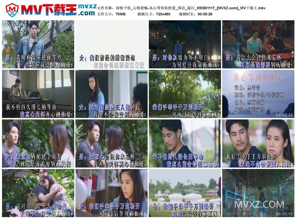 深情予你_心情舒畅-真心等待你的爱_国语_流行_MEB01117